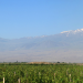 Армянская гора Арарат (справа монастырь Хор Вирап)